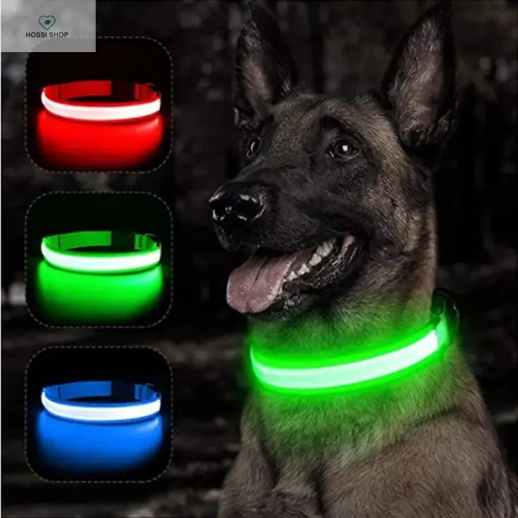 USB Rechargeable Luminous Collar Adjustable Led Glowing Dog Collar for Large Small Dogs Cat Night Light Collar Pet Safety Harnes COOYOMOO Store