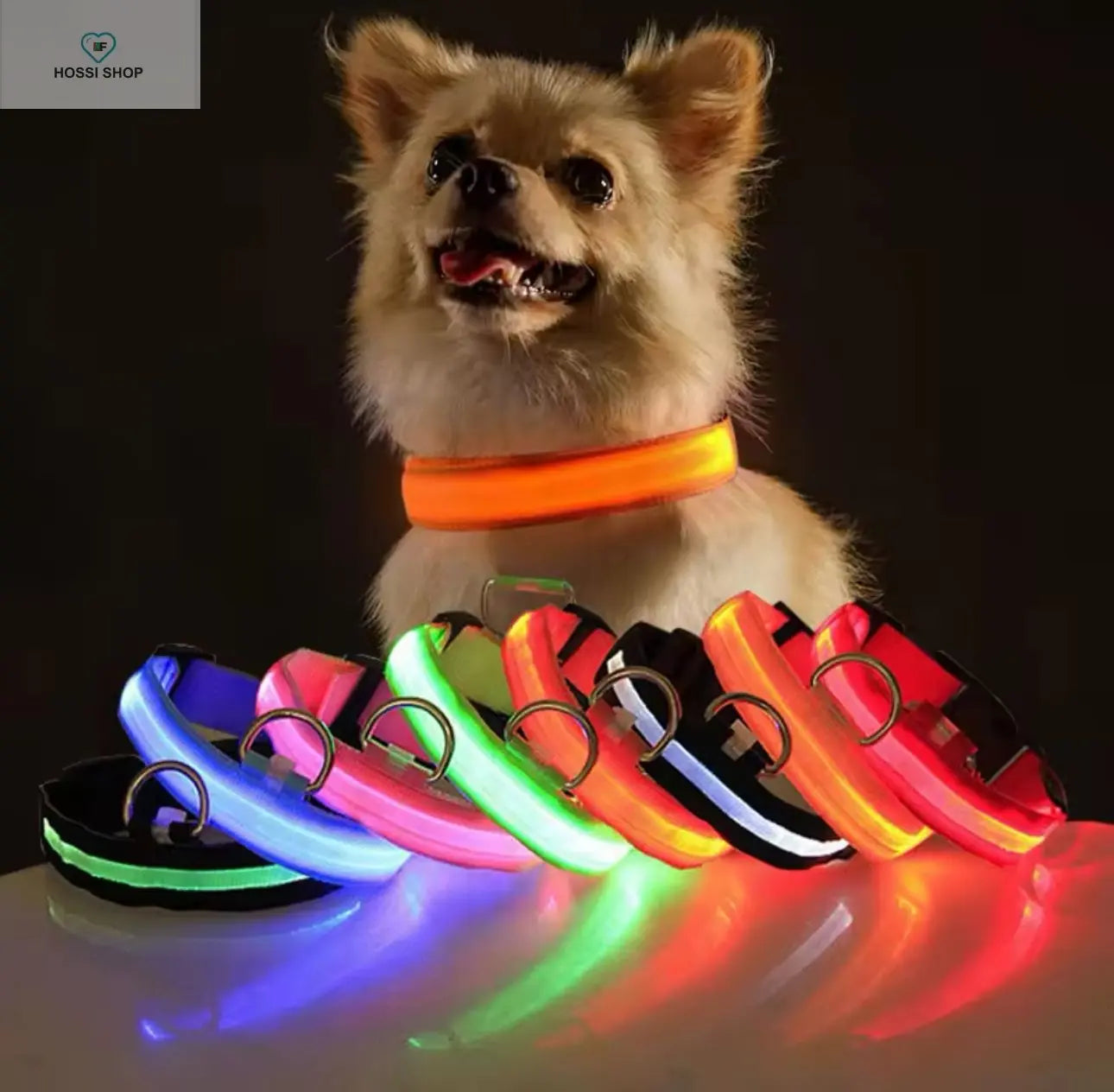 USB Rechargeable Luminous Collar Adjustable Led Glowing Dog Collar for Large Small Dogs Cat Night Light Collar Pet Safety Harnes COOYOMOO Store