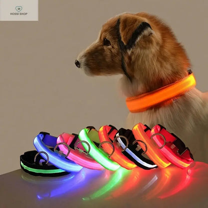 USB Rechargeable Luminous Collar Adjustable Led Glowing Dog Collar for Large Small Dogs Cat Night Light Collar Pet Safety Harnes COOYOMOO Store