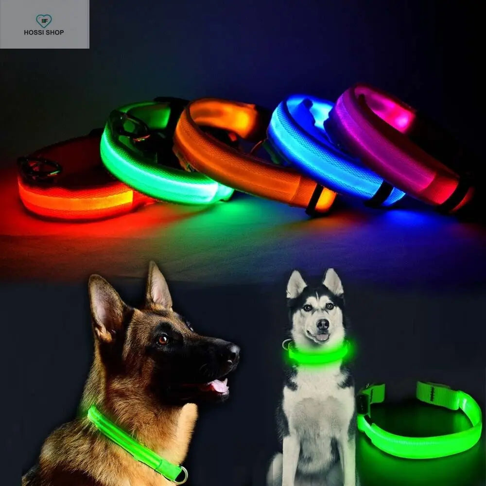 USB Rechargeable Luminous Collar Adjustable Led Glowing Dog Collar for Large Small Dogs Cat Night Light Collar Pet Safety Harnes COOYOMOO Store