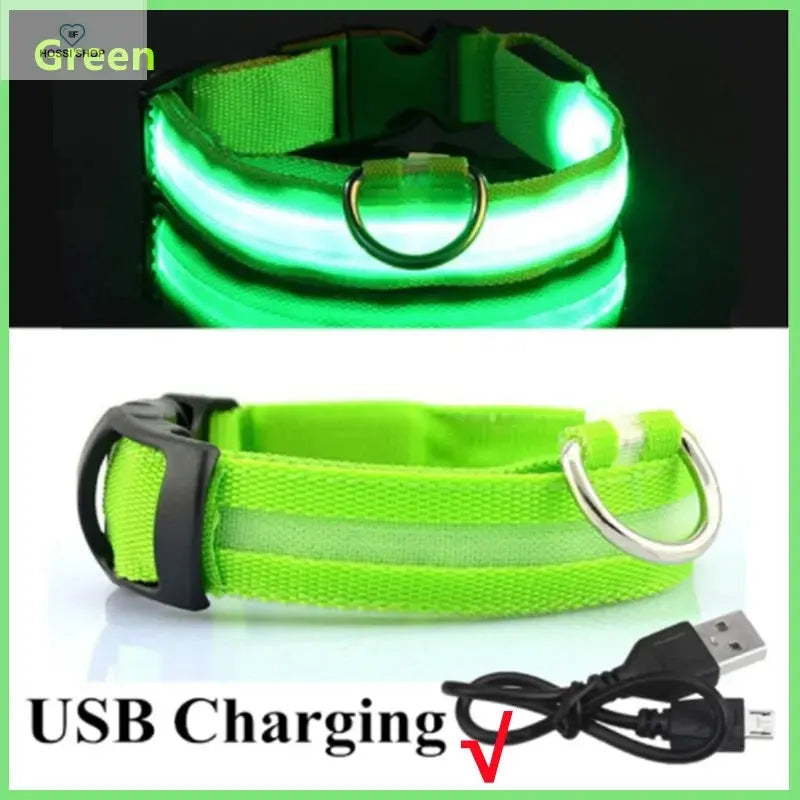 USB Rechargeable Luminous Collar Adjustable Led Glowing Dog Collar for Large Small Dogs Cat Night Light Collar Pet Safety Harnes COOYOMOO Store