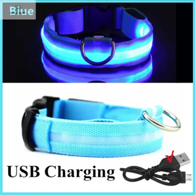 USB Rechargeable Luminous Collar Adjustable Led Glowing Dog Collar for Large Small Dogs Cat Night Light Collar Pet Safety Harnes COOYOMOO Store