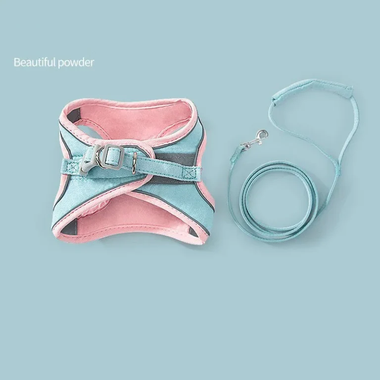 Pet Harness and Leash Set for Cats & Dogs – Smart Choice